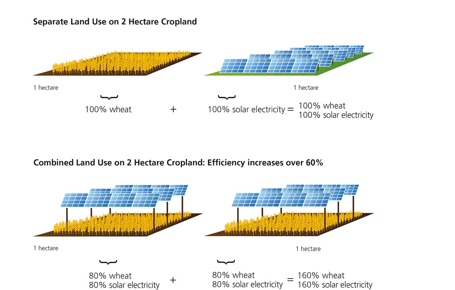 Agrivoltaics Technique Image